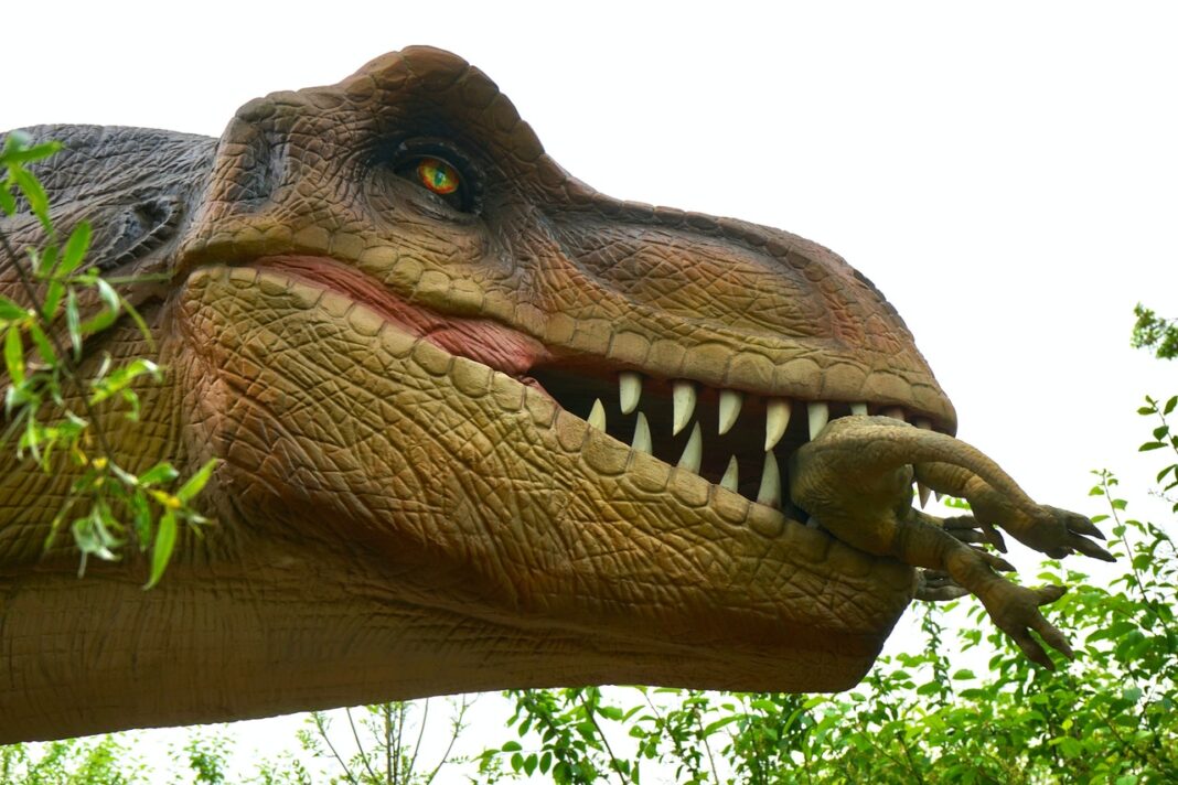 What Dinosaur has 500 teeth.