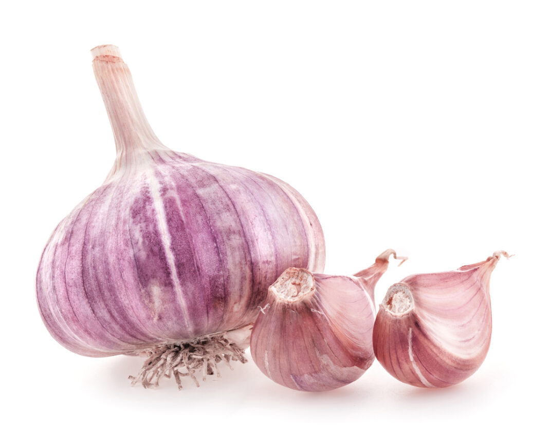 The benefit of Purple garlic