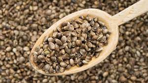 Cannabis and Health: The Benefits of Eating Cannabis Seeds