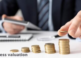 Importance of Revenue in Business Valuation