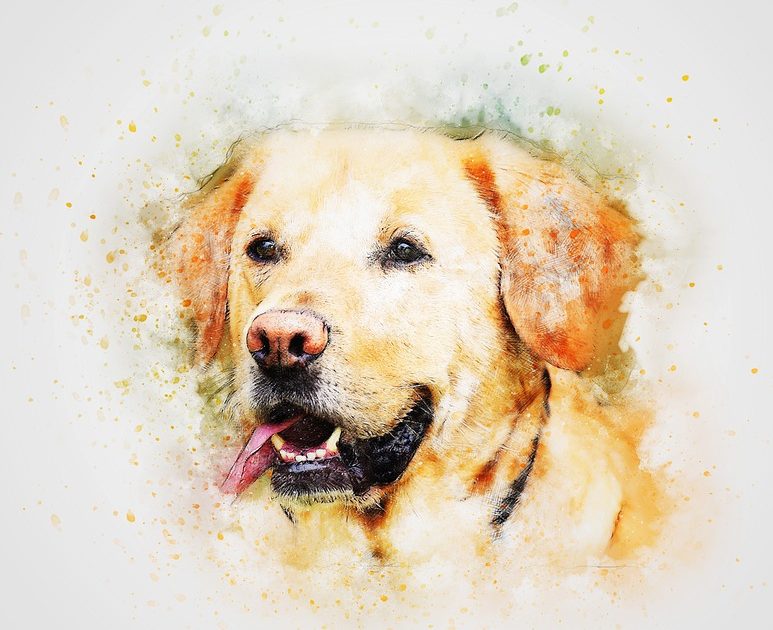 The Perfect Custom Dog Portraits Made From Photographs