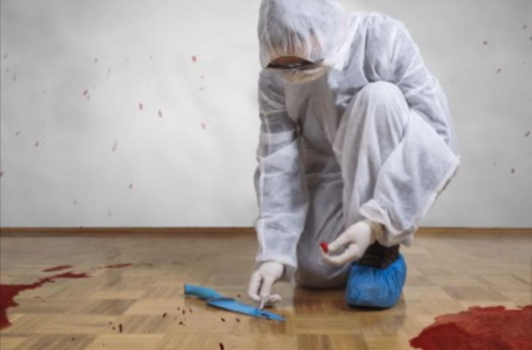 The Ultimate Guide to Becoming a Crime Scene Cleaner