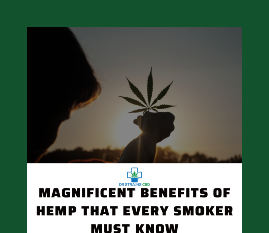 Magnificent Benefits of Hemp that Every Smoker