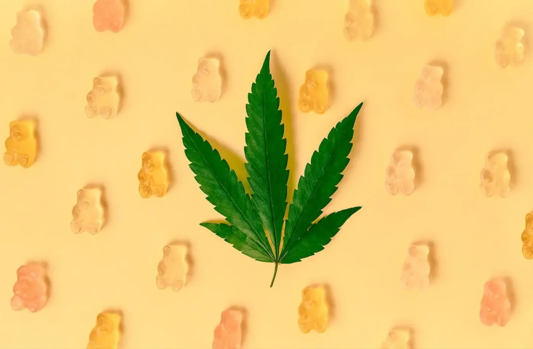 The Ultimate Guide to 5 Best Cannabis Edibles