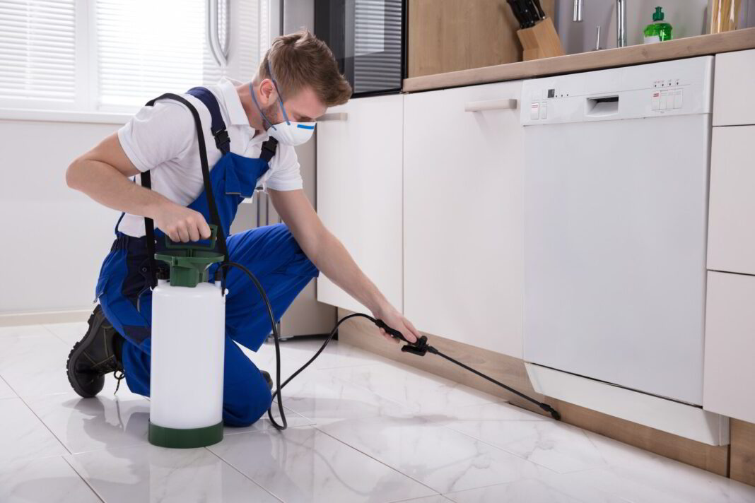 Tips for Identifying the Top Pest Control Company