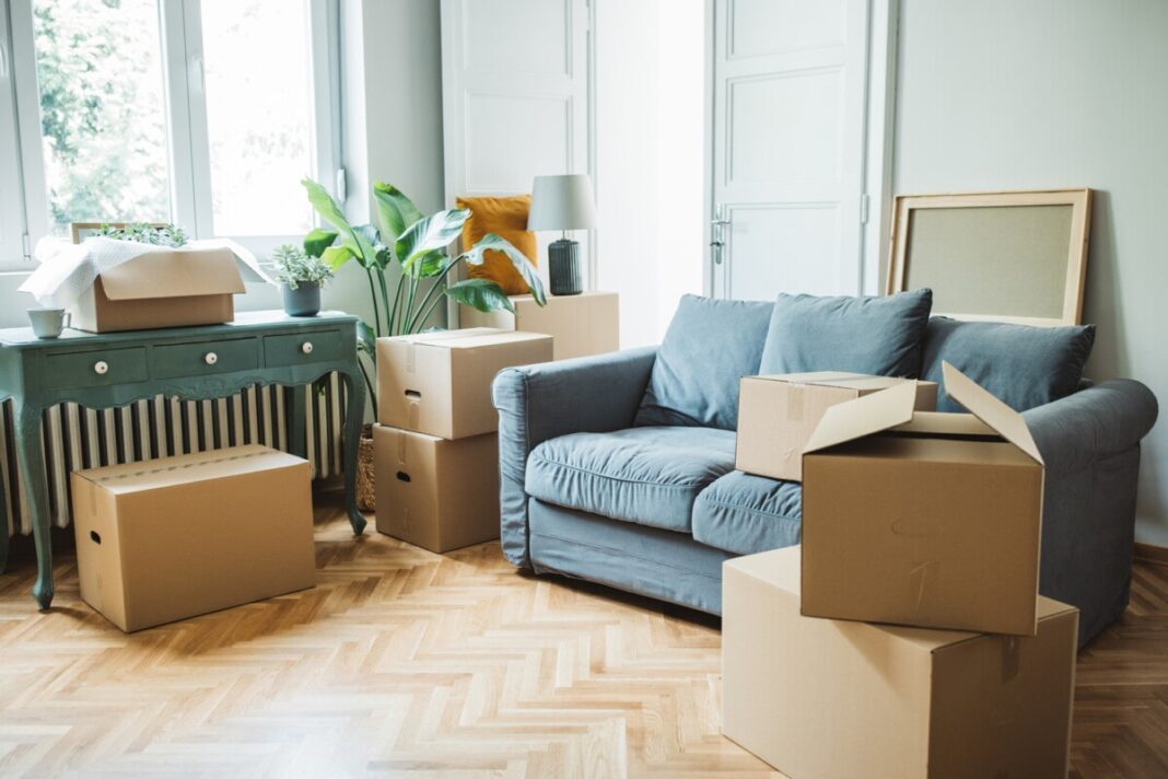 Essential Tips for First-Time Renters When Searching for an Apartment
