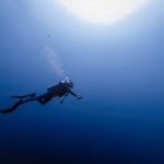 How Can Scuba Diving Charters in Islamorada Enhance Your Florida Keys Vacation?