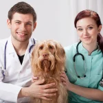 The Benefits Of Having A Trusted Local Animal Hospital