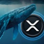 How Whale Movements Affect the Price of XRP in USD