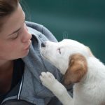 5 Ways General Veterinarians Keep Pets Healthy Year Round